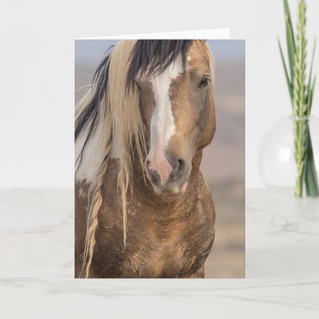 "Golden Boy" Note Card (Front)