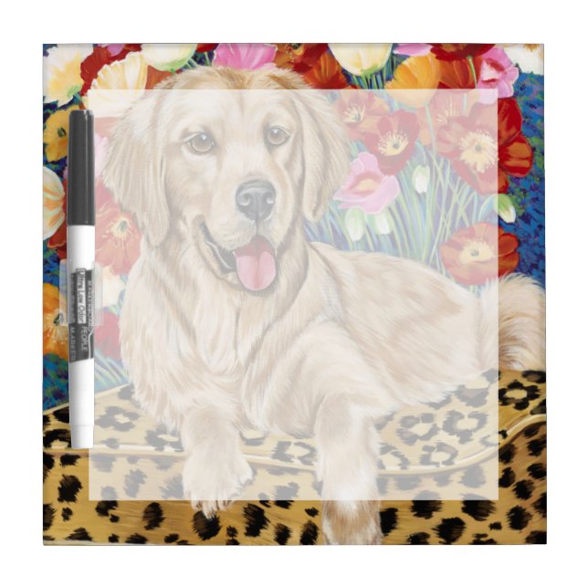 Golden Boy Retriever Dry Erase Board (Front)