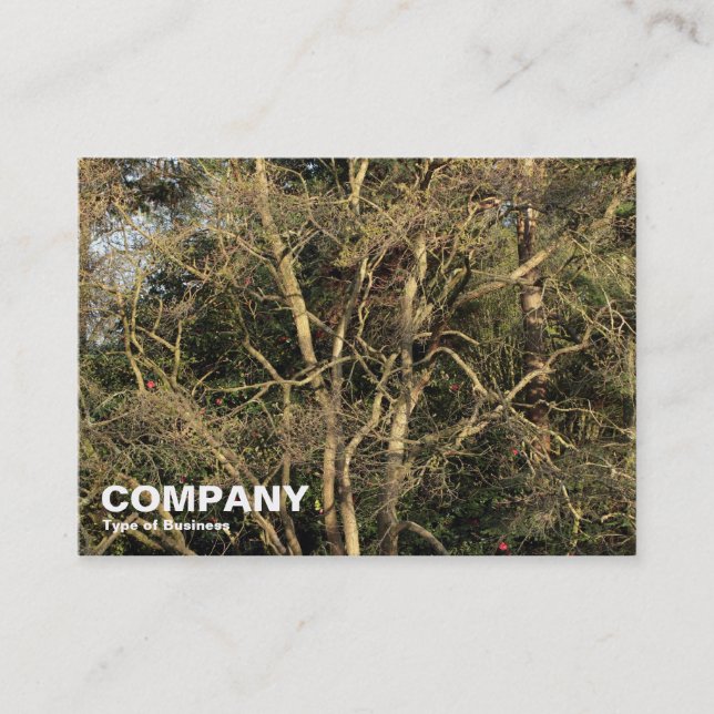 Golden Branches Business Card (Front)
