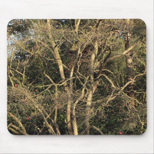 Golden Branches Mouse Pad