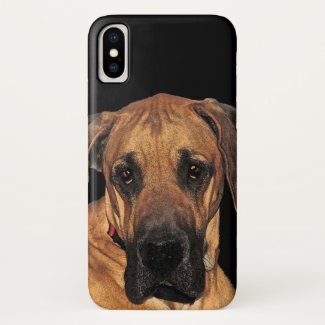 Golden Brown Great Dane Dog iPhone X Case