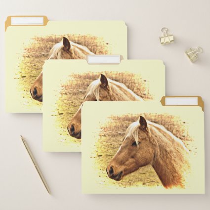 Golden Brown Horse in Sun File Folder Set