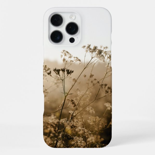 Golden brown meadow at sunrise iPhone case (Back)