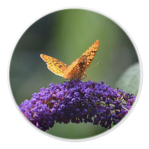 Golden Butterfly Ceramic Knob