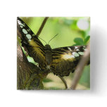 Golden Butterfly Square Pin