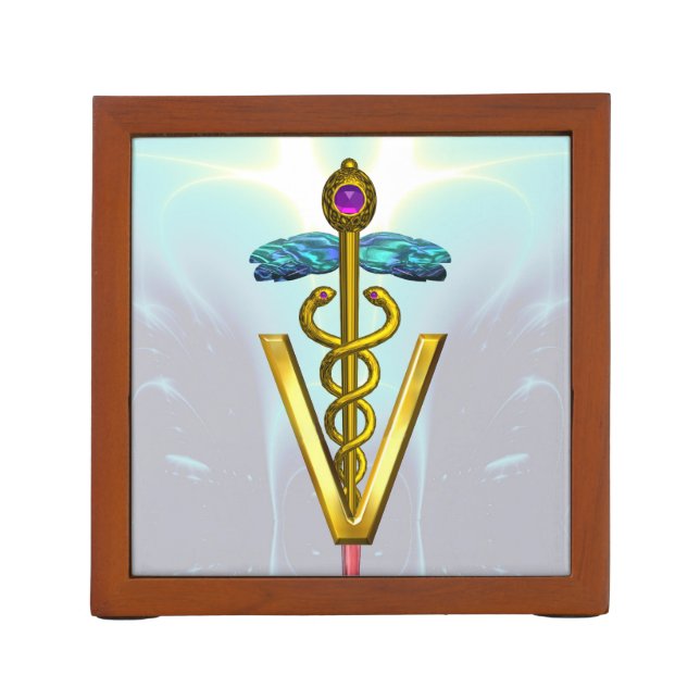 GOLDEN CADUCEUS VETERINARY SYMBOL /Teal Blue Desk Organizer (Back)