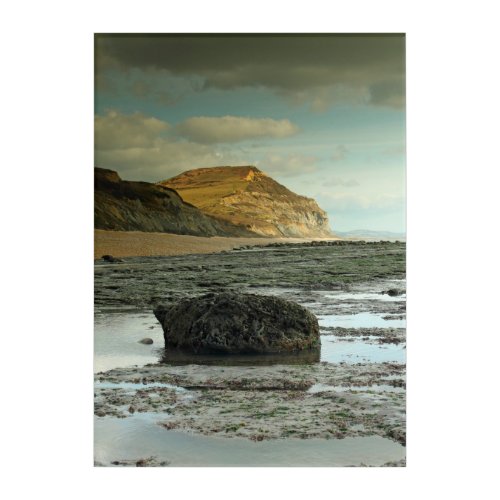 Golden Cap Dorset Acrylic Print