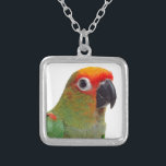 Golden-capped conure silver plated necklace<br><div class="desc">Golden-capped conure</div>