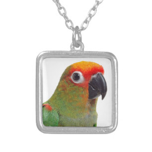 Golden-capped conure silver plated necklace