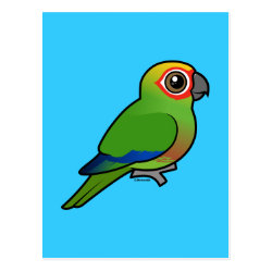 Birdorable Golden-capped Parakeet Postcard