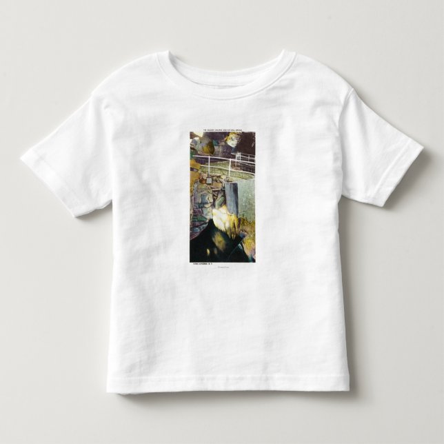 Golden Cascade and Natural Bridge View Toddler T-shirt (Front)