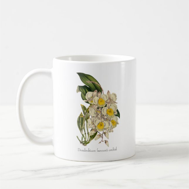 Golden Cascades: Dendrobium farmerii Orchid Mug (Left)