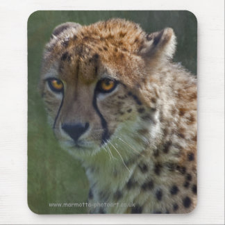 Golden Cheetah Mousemat Mouse Pad