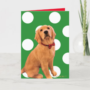 Golden Christmas Dog Card