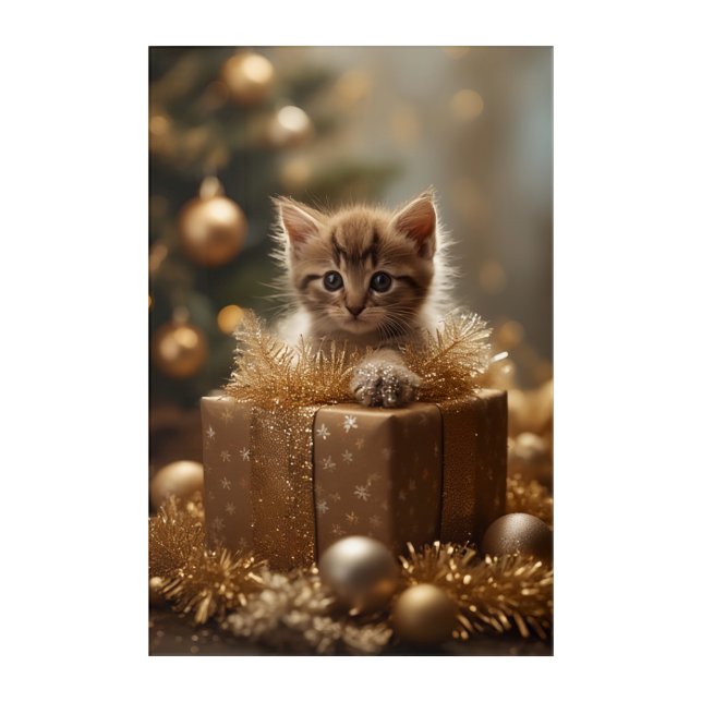 Golden Christmas Kitten in Gift Box Acrylic Print (Front)