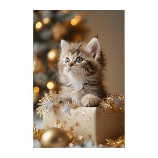Golden Christmas Kitten in Gift Box Acrylic Print (Front)