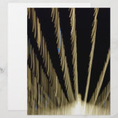 Golden Christmas lights (Front/Back)