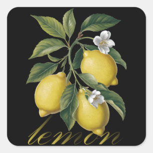 Golden Citrus Symphony vintage lemon Square Sticker