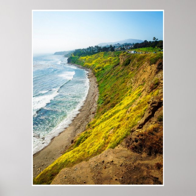 Golden Coastline in Bloom Poster (Front)