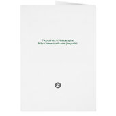 Golden Coconuts (Back)