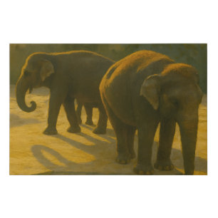Golden Companions – Elephant Trio in Warm Light Faux Canvas Print