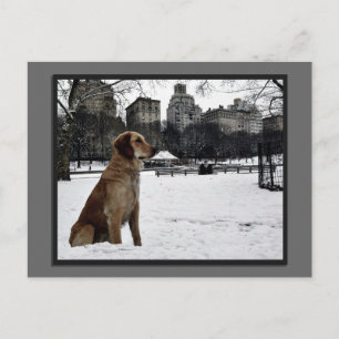 Golden-Conservatory Water-Central Park Postcard
