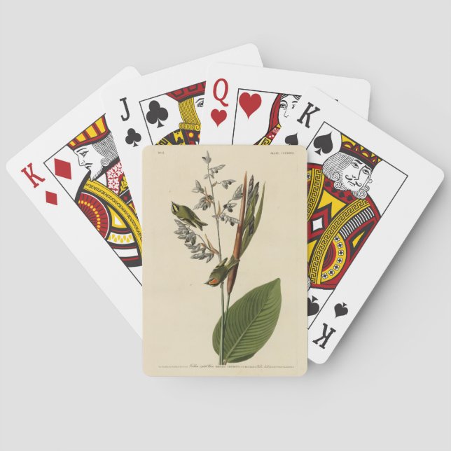 Golden-crowned Kinglet, Audubon's Birds of America Poker Cards (Back)