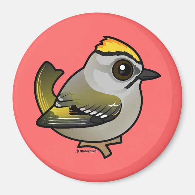 Golden-crowned Kinglet Magnet (Front)