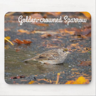 Golden-crowned Sparrow Mouse Pad