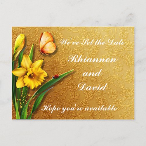 Golden Daffodils Announcement Postcard