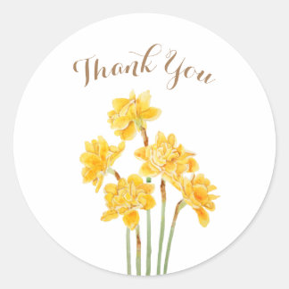 golden daffodils flowers watercolor classic round  sticker