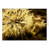 Golden Dandy Dreams Card (Front Horizontal)