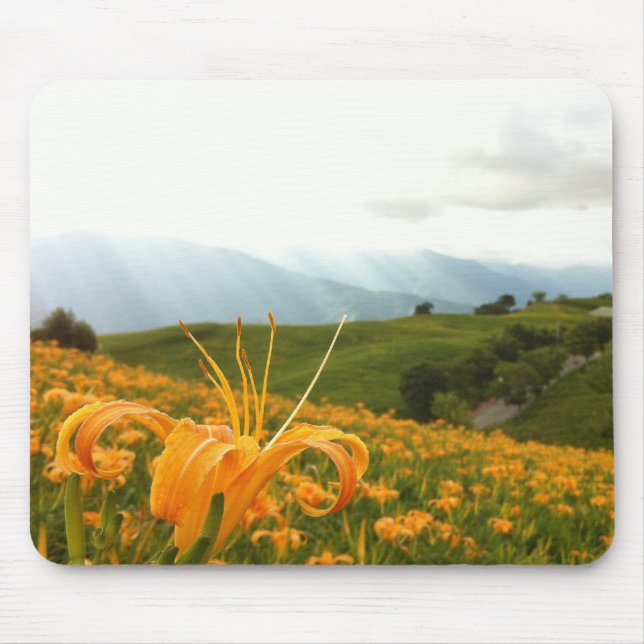 Golden Daylily flower Valley Mouse Pad (Front)