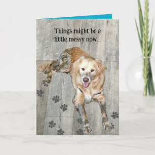 Golden Dog Card Best is Yet to Come