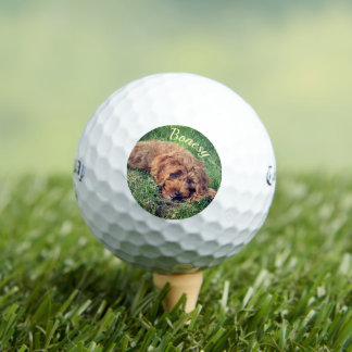 Golden Doodle Callaway Soft Golf Balls