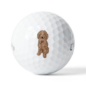 Golden doodle dog  golf balls