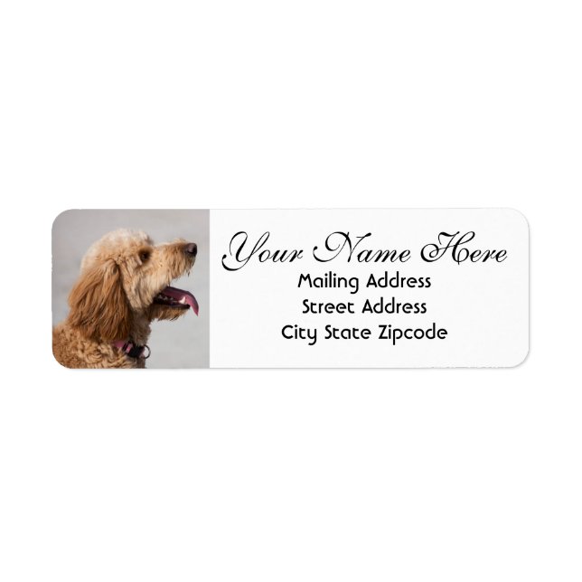 Golden Doodle Dog Return Address Label (Front)