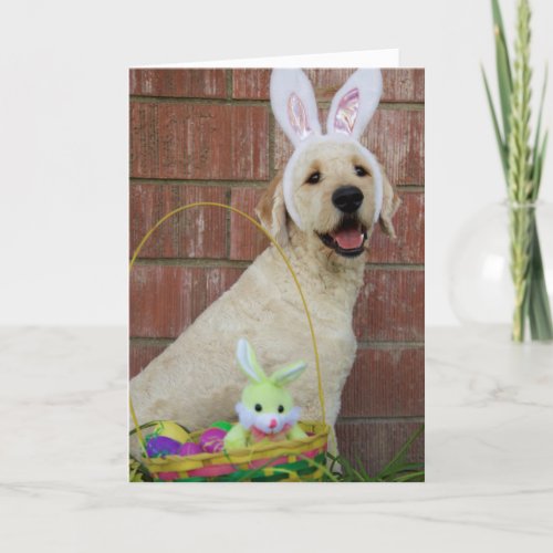 Golden Doodle Easter Card