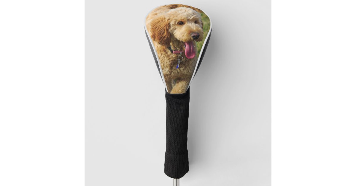 Golden Doodle Golf Head Cover Zazzle