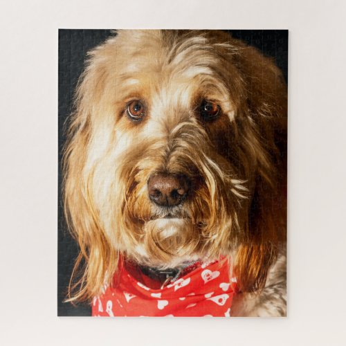 Golden doodle Puppy Dog Jigsaw Puzzle