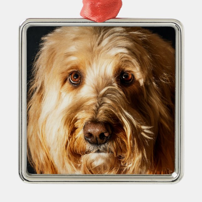 Golden doodle Puppy Dog Metal Ornament (Front)