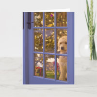 Golden Doodle puppy looking out glass door with Holiday Card