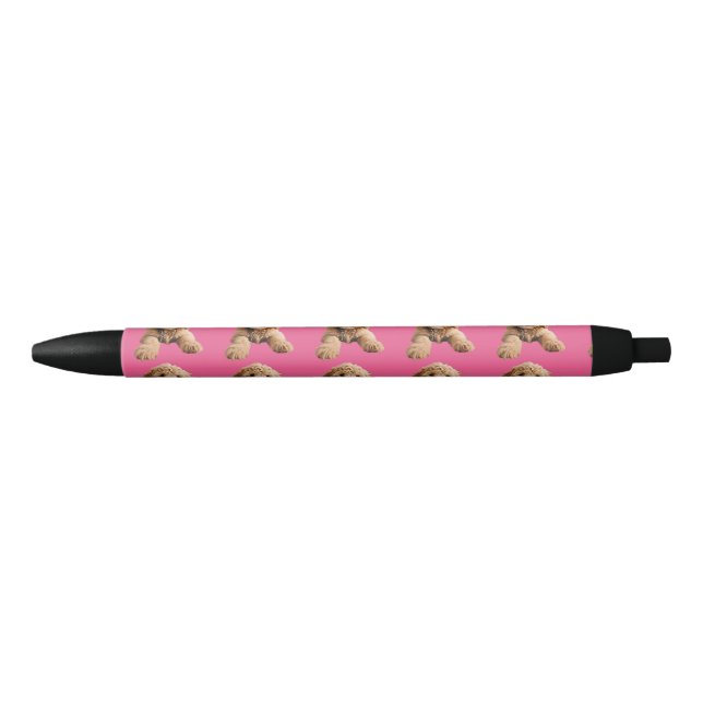 Golden Doodle Puppy Pen (Front)