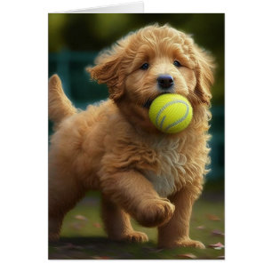 Golden Doodle Puppy Plays Ball All Occasions Greet Cards