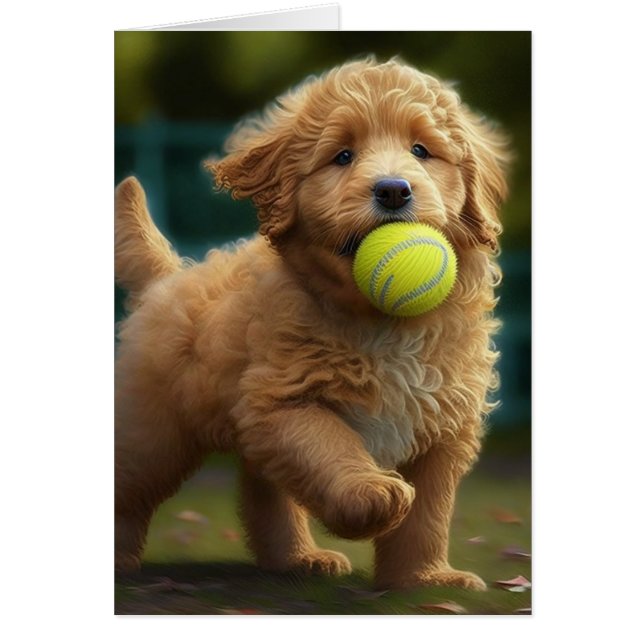 Golden Doodle Puppy Plays Ball All Occasions Greet Cards (Front)