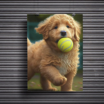 Golden Doodle Puppy Plays Ball Poster by angelandspot at Zazzle
