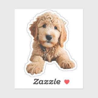 Golden Doodle Puppy Sticker
