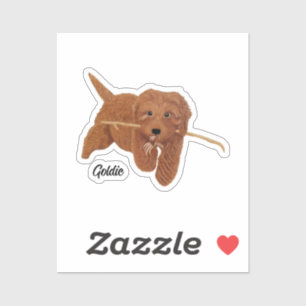 Golden Doodle Sticker