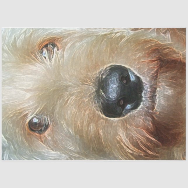 Golden Doodle Tissue Paper for gifts and decoupage (Front)