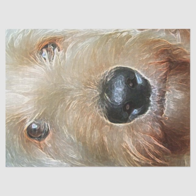 Golden Doodle with big black squishy nose Tissue  Paper (Front)
